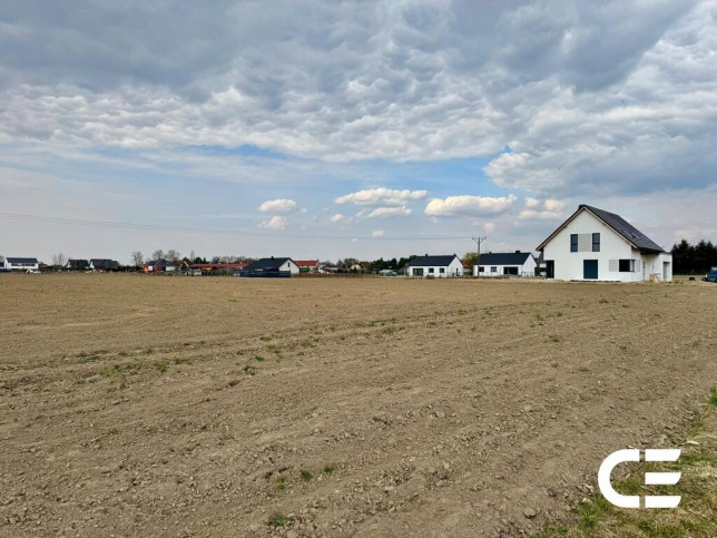 Działka Sprzedaż Nieciszów 7