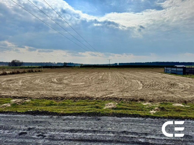 Działka Sprzedaż Nieciszów 8
