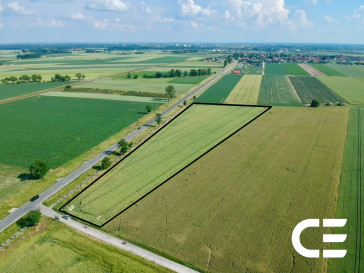 Działka Sprzedaż Nowosiedlice