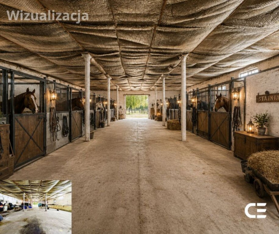 Dom Sprzedaż Zbytowa 19