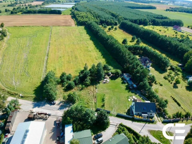 Działka Sprzedaż Zimnica 5