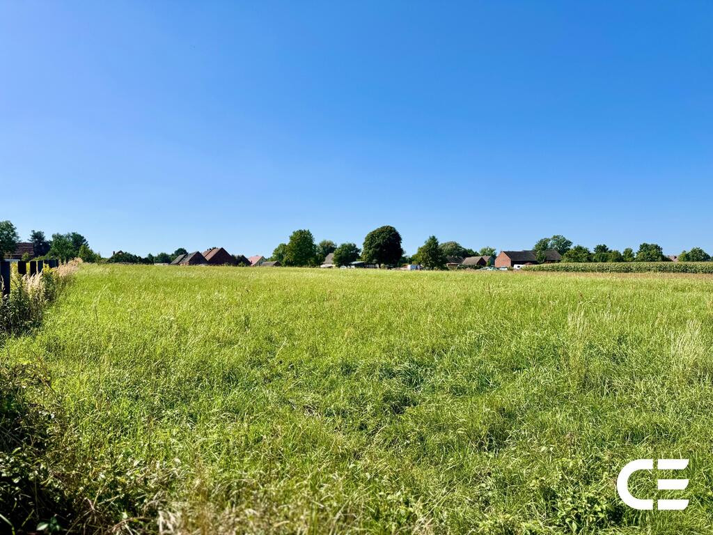 Działka Sprzedaż Grabowno Małe